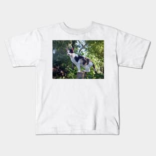 Lagertha cat on watch Kids T-Shirt